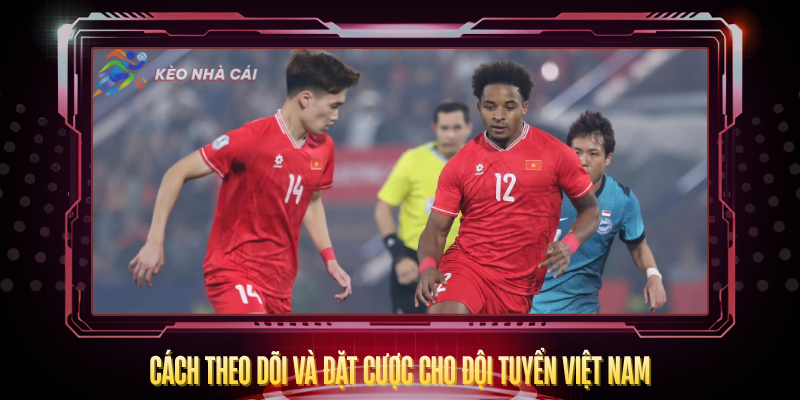 Lịch Thi Đấu Đội Tuyển Việt Nam Năm 2026 Đầy Đủ Nhất 4 Cach Theo Doi Va Dat Cuoc Cho Doi Tuyen Viet Nam