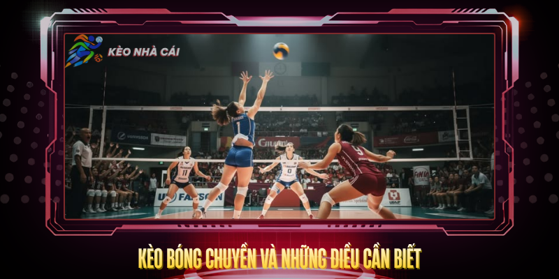 Kèo Bóng Chuyền – Tỷ Lệ Hấp Dẫn Và Cách Cược Hay 2 Keo Bong Chuyen Va Nhung Dieu Can Biet