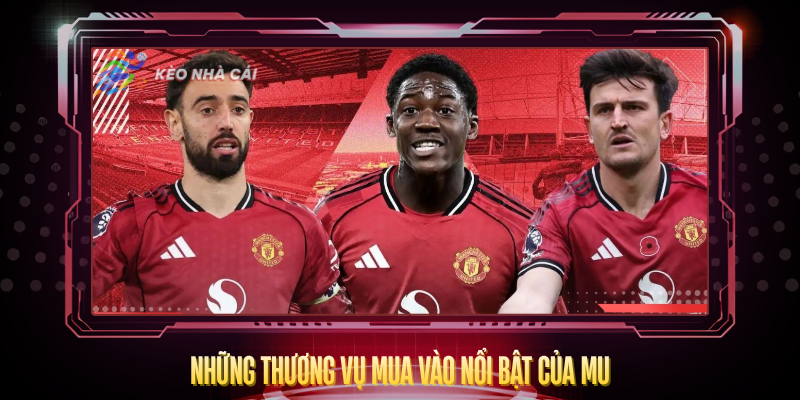 Nhung Thuong Vu Mua Vao Noi Bat Cua Mu
