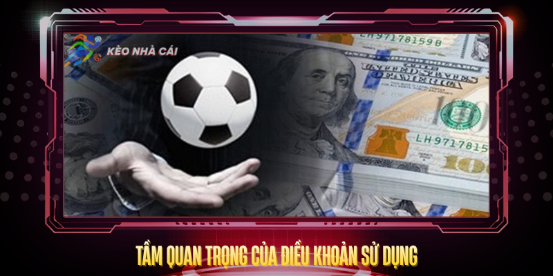 Tam Quan Trong Cua Dieu Khoan Su Dung