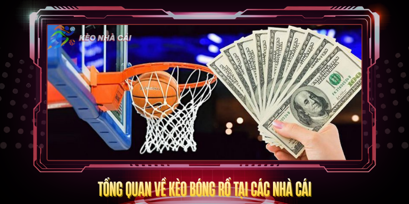 Kèo Bóng Rổ – Cách Đọc Tỷ Lệ Và Chiến Lược Cược Hay 2 Tong Quan Ve Keo Bong Ro Tai Cac Nha Cai