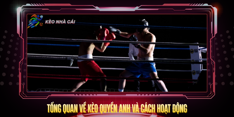 Kèo Quyền Anh – Bí Quyết Đọc Tỷ Lệ Và Cược Thắng 2 Tong Quan Ve Keo Quyen Anh Va Cach Hoat Dong
