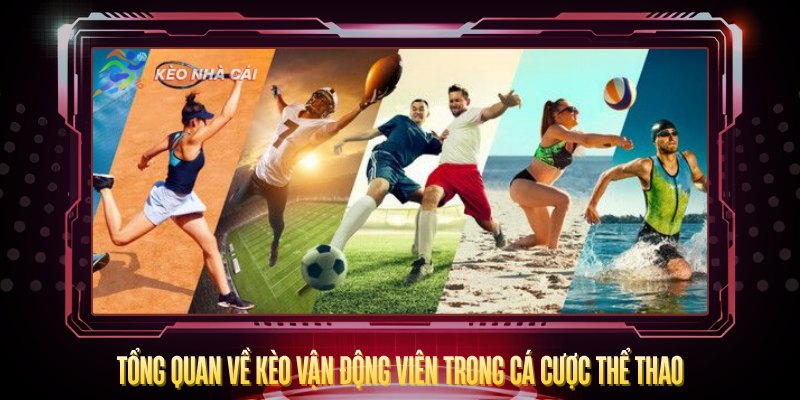 Kèo Vận Động Viên – Hiểu Đúng Để Cược Thông Minh 2 Tong Quan Ve Keo Van Dong Vien Trong Ca Cuoc The Thao