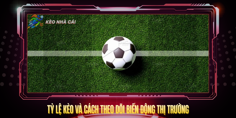 Ty Le Keo Va Cach Theo Doi Bien Dong Thi Truong